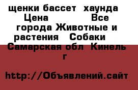 щенки бассет- хаунда › Цена ­ 20 000 - Все города Животные и растения » Собаки   . Самарская обл.,Кинель г.